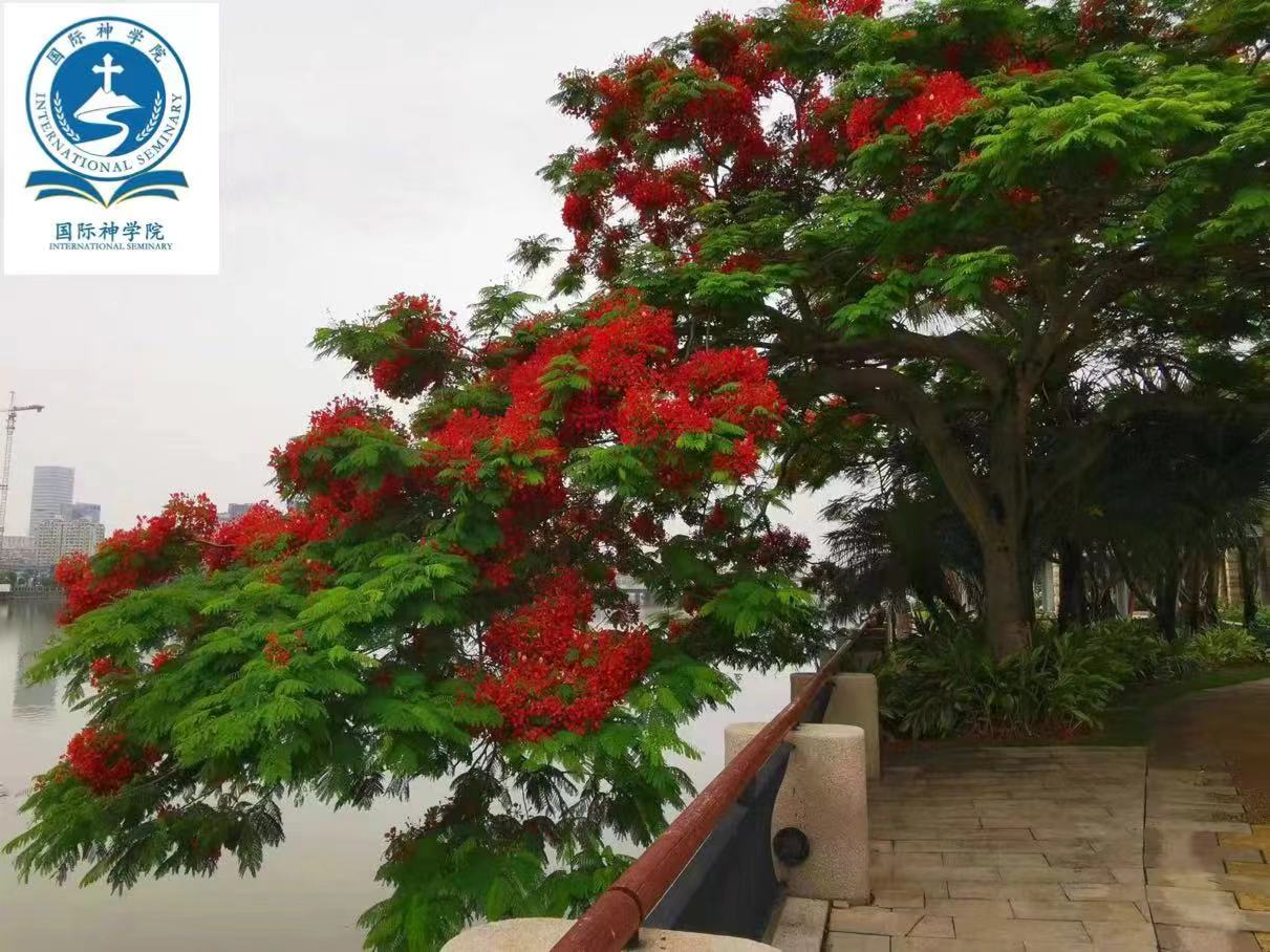 特朗普政治行动委员会入驻TikTok 争取年轻选民支持